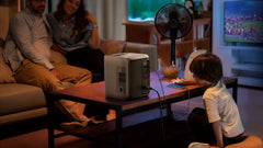 EcoFlow DELTA 3 1000 Air (10ms UPS)