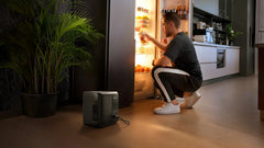 EcoFlow DELTA 3 1000 Air (10ms UPS)