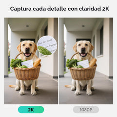 BOTSLAB 2K Wireless Doorbell with Head-to-Toe View