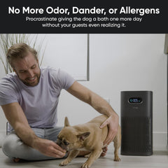Air Purifier with Formaldehyde Filter (Premium)