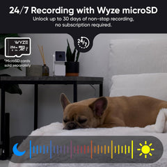 WYZE Cam Pan V3 Indoor/Outdoor IP65 Rated 1080P