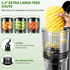 Pukomc Cold Press Juicer