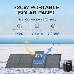 Panneau Solaire Bifacial 220W