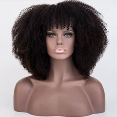 250 Density Afro Kinky Curly Lace Front Human Hair