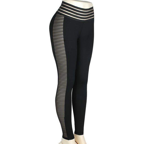 Fitness Women Leggings Sexy Mesh