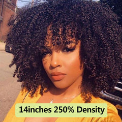 250 Density Afro Kinky Curly Lace Front Human Hair